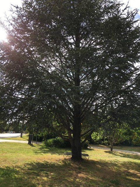 The Glasshouse Boutique Accommodation - Tourism Caloundra 3