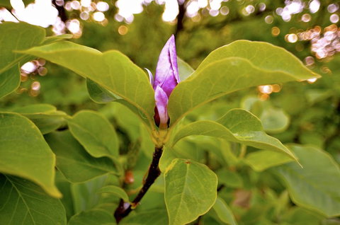 The Glasshouse Boutique Accommodation - Tourism Caloundra 2