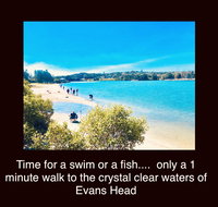 The Lazy Llama - Tourism Caloundra