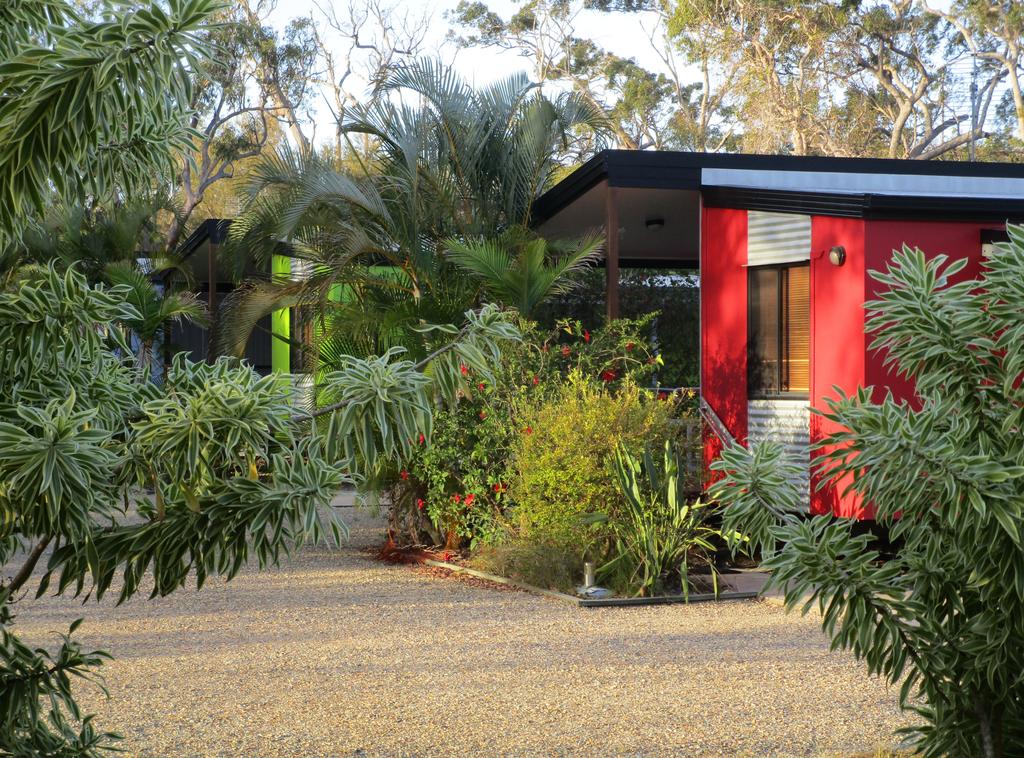 Mount Tom QLD Tourism Caloundra
