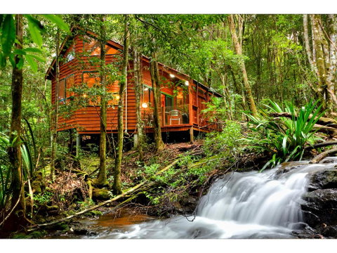 The Mouses House Rainforest Retreat - Tourism Caloundra 0