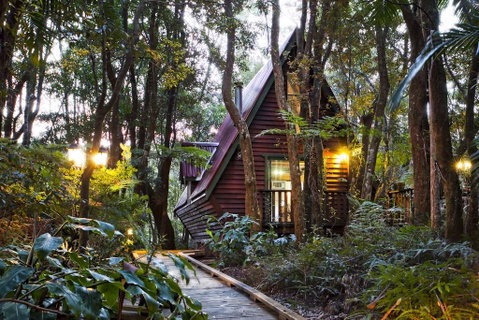 The Mouses House Rainforest Retreat - Tourism Caloundra 1