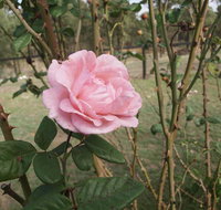 The Table Guest House