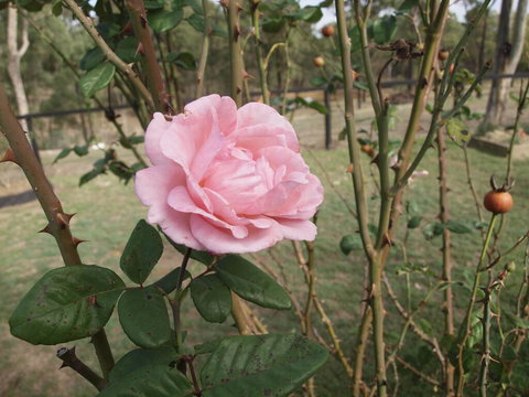 The Table Guest House - Tourism Caloundra 0