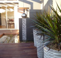 The Wet Lizard - Tourism Caloundra
