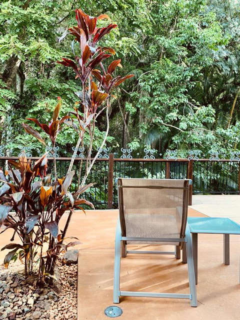 Tranquil Setting In Buderim - Tourism Caloundra 3