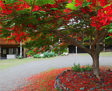 TRANQUILO BEACH HOUSE - Tourism Caloundra 2