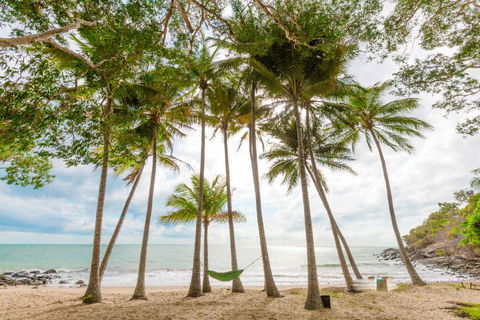 Turtle Cove Beach Resort - Adults Only LGBTQIA & Allies - Tourism Caloundra 3