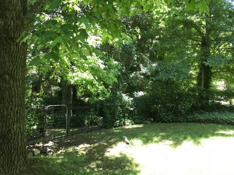 Tyntynder Garden Cottage 4 - Tourism Caloundra 2