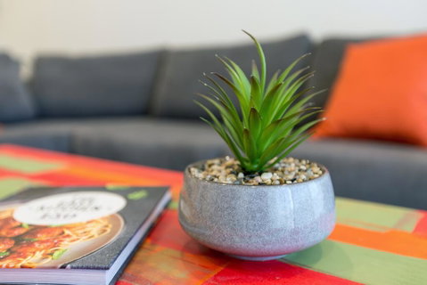 Urban Jungle! Executive Apartment In Heart Of CBD - Tourism Caloundra 1