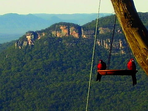 Valley Of The Waters B&B - Tourism Caloundra 3