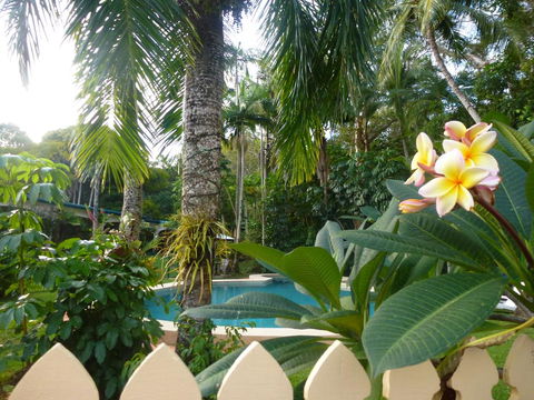 Villa Marine Holiday Apartments Cairns - Tourism Caloundra 1