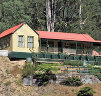 Walhalla Wild Cherry - Tourism Caloundra