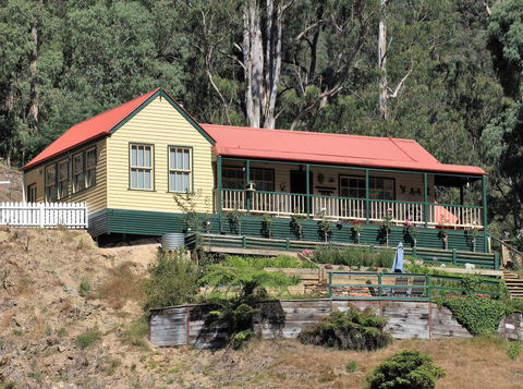 Walhalla Wild Cherry - Tourism Caloundra 0