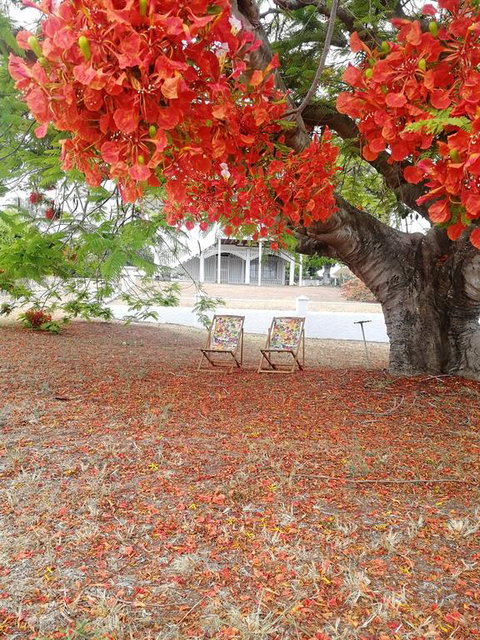Walk To Beach Queenslander HOME In CBD Hervey Bay - Tourism Caloundra 3