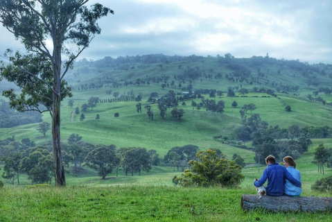 Waterfall Way Farmstay - Tourism Caloundra 2