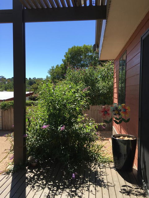 Daydream Cottage - Tourism Caloundra 10