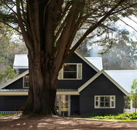 The Orchard - Tourism Caloundra