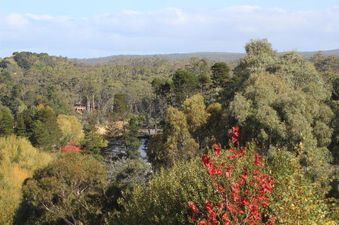 The Orchard - Tourism Caloundra 28