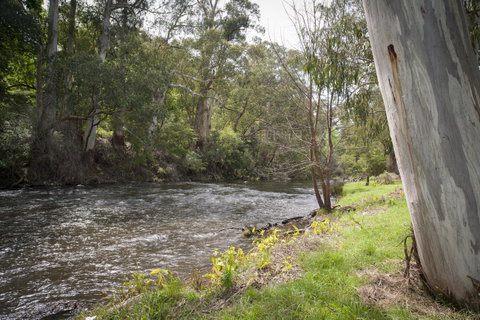 Oscar\'s On The Yarra - Tourism Caloundra 23