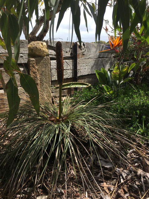 The PC Cottage - Tourism Caloundra 32