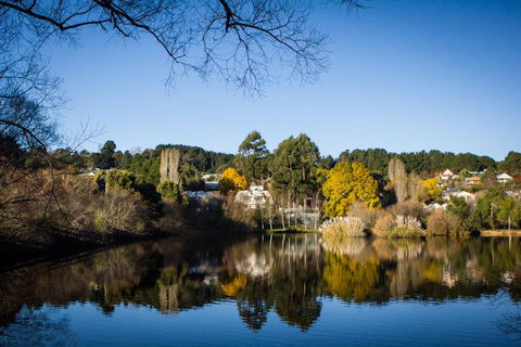 Chestnut Daylesford - Tourism Caloundra 14