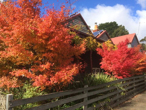 Chestnut Daylesford - Tourism Caloundra 13