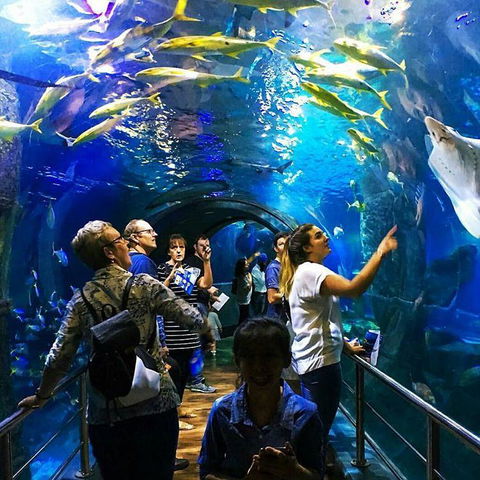 South Wharf Melbourne - Tourism Caloundra 18