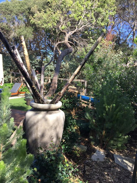 Moonah Woodlands Resort - Tourism Caloundra 38