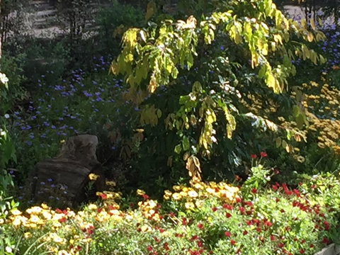 Moonah Woodlands Resort - Tourism Caloundra 35