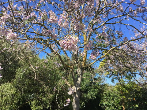 Moonah Woodlands Resort - Tourism Caloundra 36