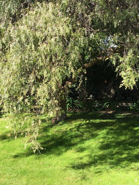 Moonah Woodlands Resort - Tourism Caloundra 37