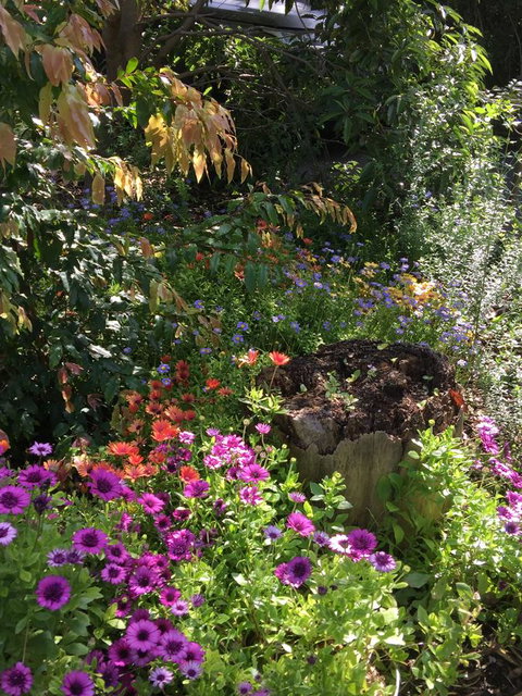 Moonah Woodlands Resort - Tourism Caloundra 34