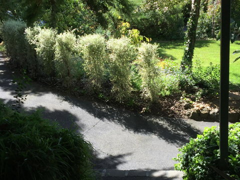 Moonah Woodlands Resort - Tourism Caloundra 39