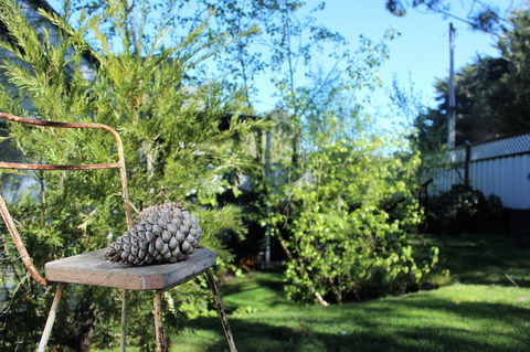 Cottage 4A - Tourism Caloundra 13
