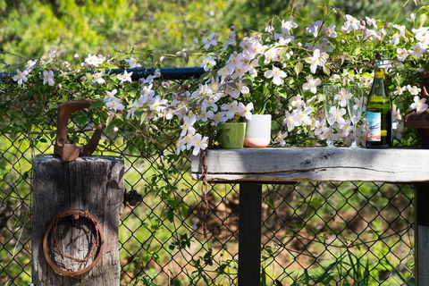 Cottage 4A - Tourism Caloundra 4