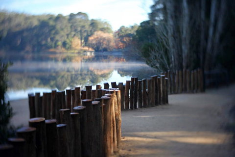 Minni Gums - Tourism Caloundra 4