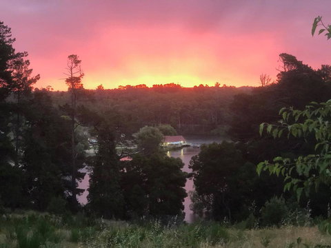 Minni Gums - Tourism Caloundra 2