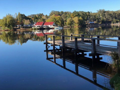Minni Gums - Tourism Caloundra 3