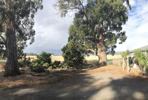 Minni Gums - Tourism Caloundra 18