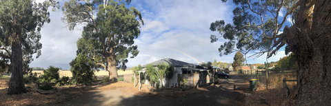 Minni Gums - Tourism Caloundra 11