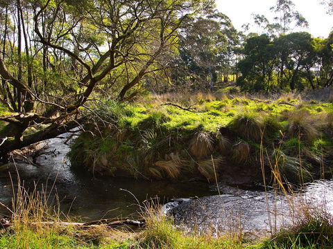 Green Gully House - Tourism Caloundra 5