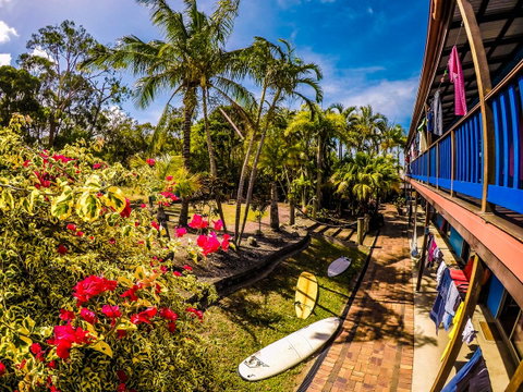 Cool Bananas Backpackers - Tourism Caloundra 17