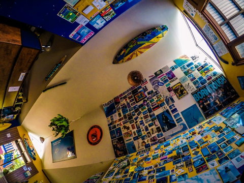 Cool Bananas Backpackers - Tourism Caloundra 29
