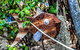 Cool Bananas Backpackers - thumb 24