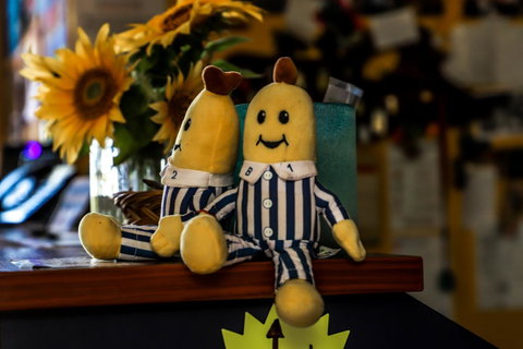 Cool Bananas Backpackers - Tourism Caloundra 30