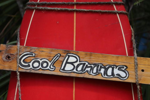 Cool Bananas Backpackers - Tourism Caloundra 41