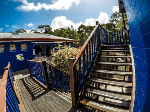 Cool Bananas Backpackers - Tourism Caloundra 27