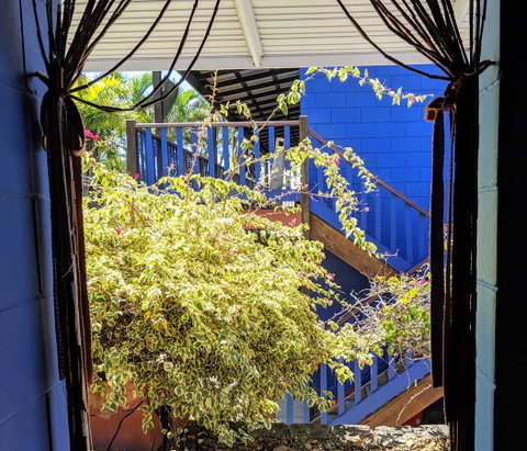 Cool Bananas Backpackers - Tourism Caloundra 10