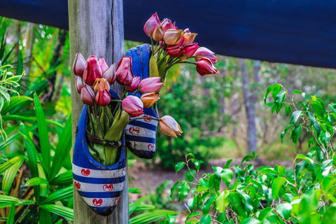 Cool Bananas Backpackers - Tourism Caloundra 26
